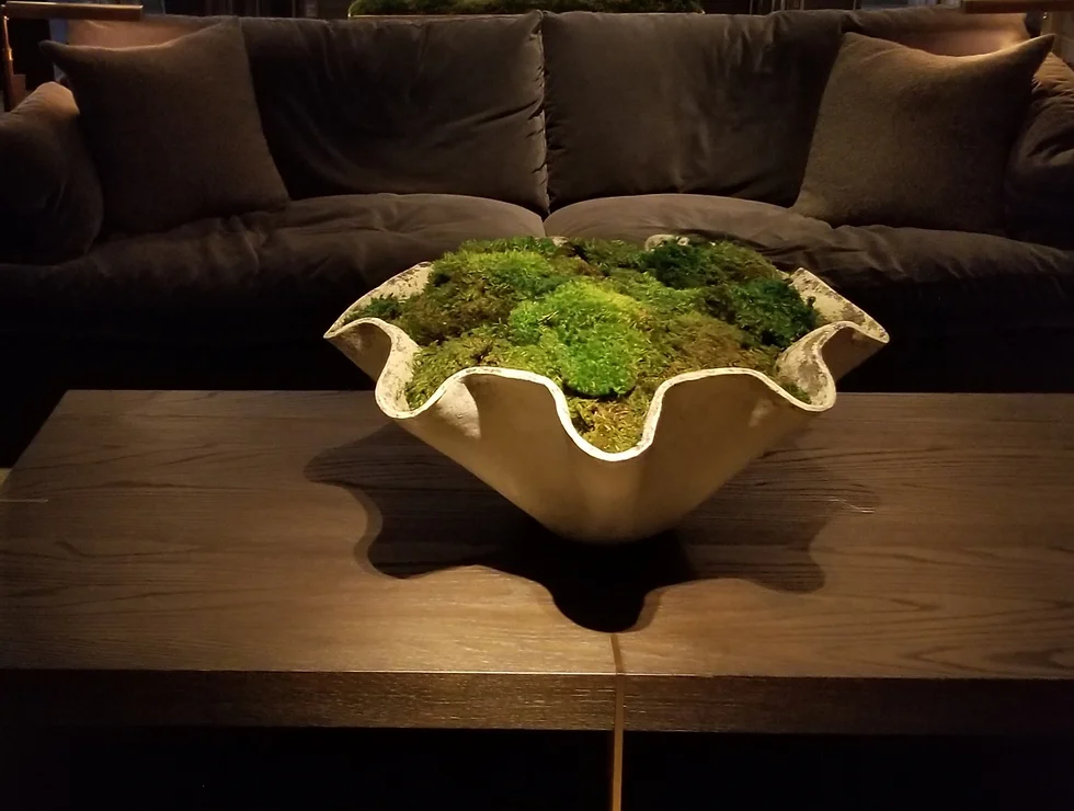 Moss in bowl on dark wood table.
